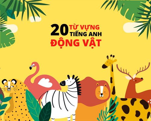 Tổng hợp 50 từ vựng tiếng Anh về động vật thông dụng nhất