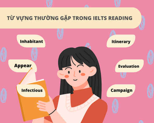 Từ vựng thường gặp trong bài thi IELTS Reading